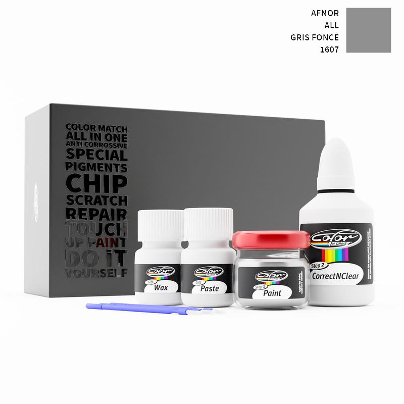 Afnor ALL Gris Fonce 1607 Touch Up Paint