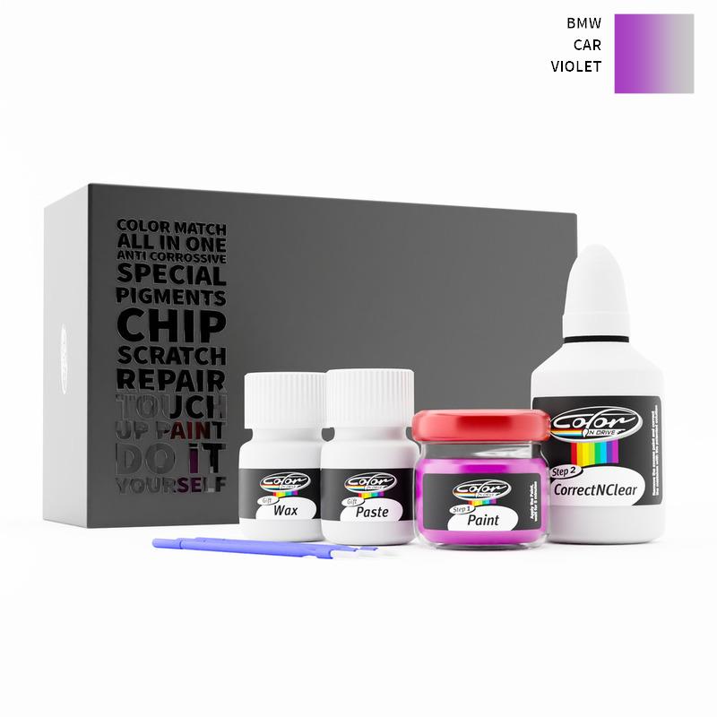 BMW CAR Violet  Touch Up Paint