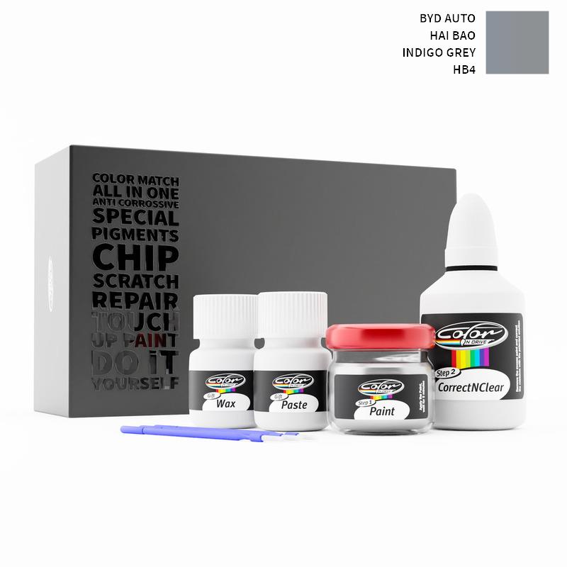Byd Auto Touch Up Paint Kit