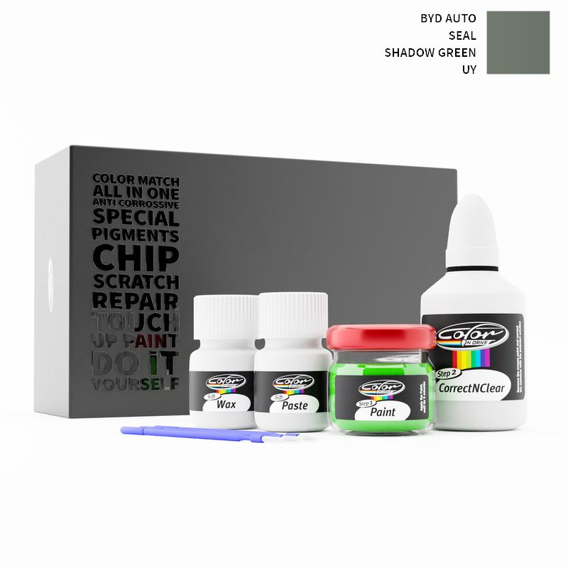 Byd Auto Touch Up Paint Kit