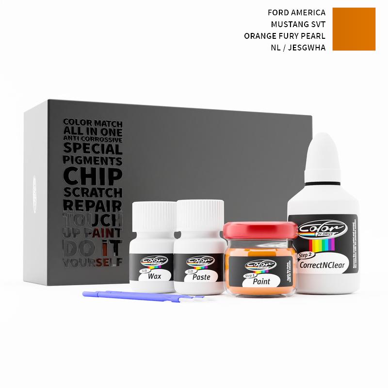 Ford America Touch Up Paint Kit