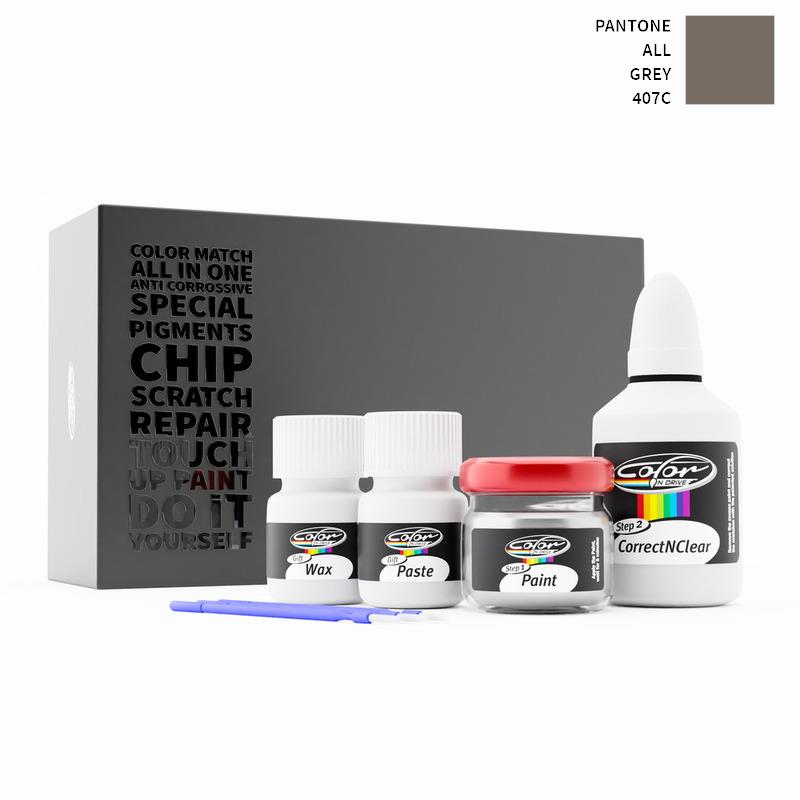 Pantone ALL Grey 407C Touch Up Paint