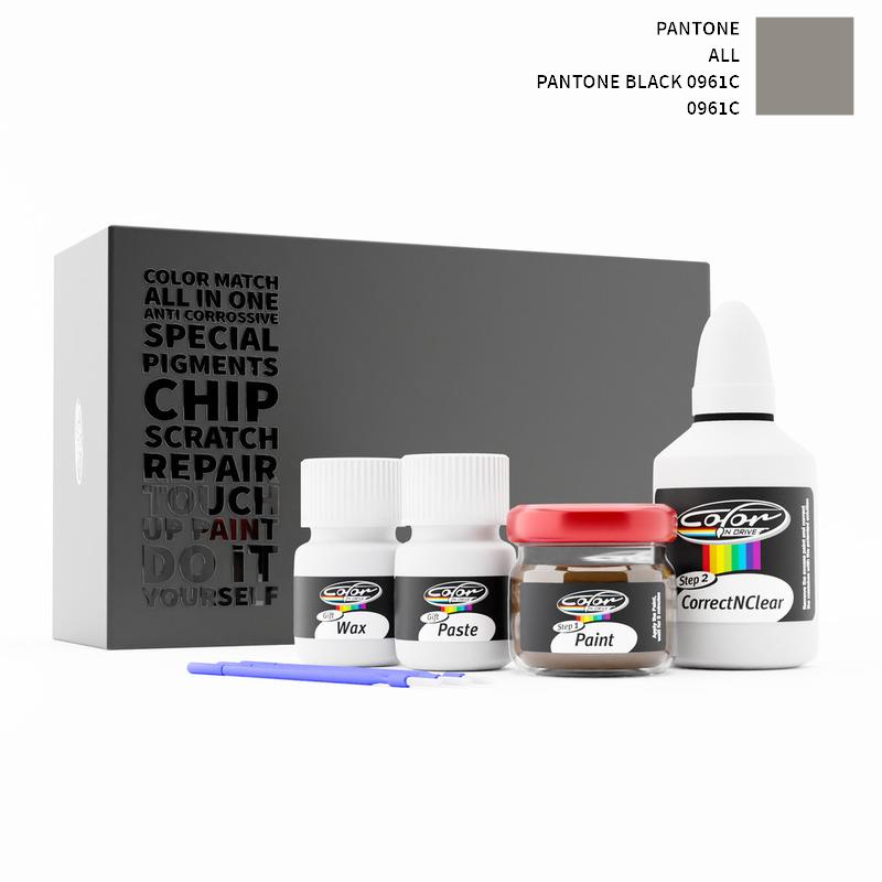 Pantone ALL Pantone Black 0961C 0961C Touch Up Paint