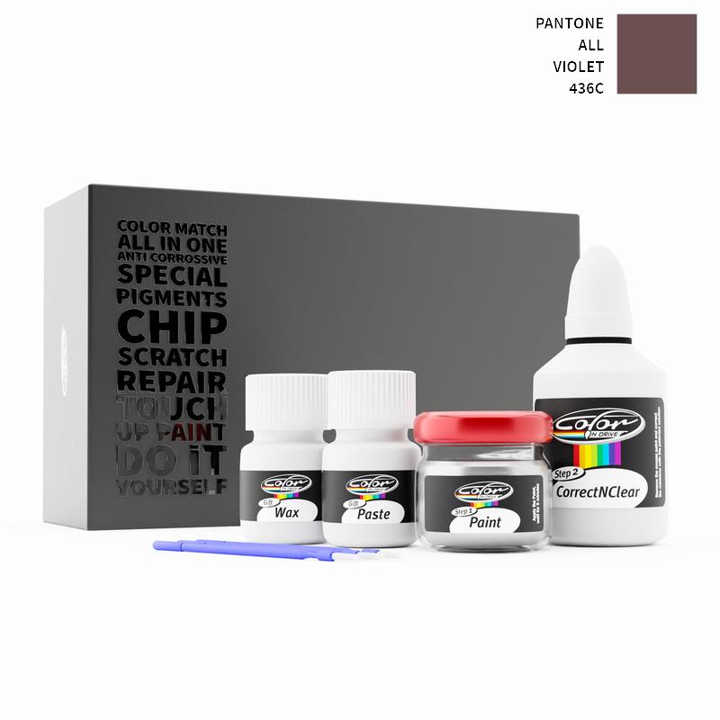 Pantone ALL Violet 436C Touch Up Paint