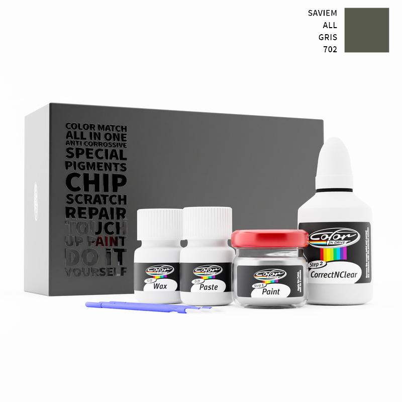 Saviem ALL Gris 702 Touch Up Paint